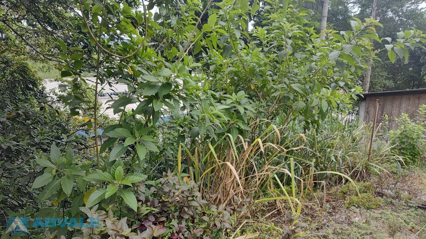 Terreno de 534,8 m no Bairro Ponta Aguda, Blumenau-SC - Oportunidade para Compensação de Área — foto 3