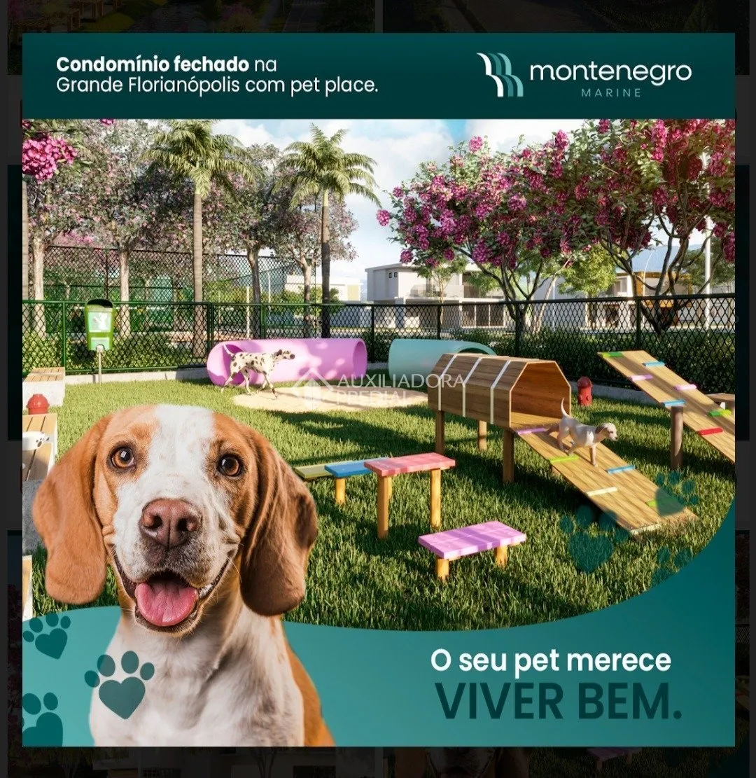 Imóvel — foto 4