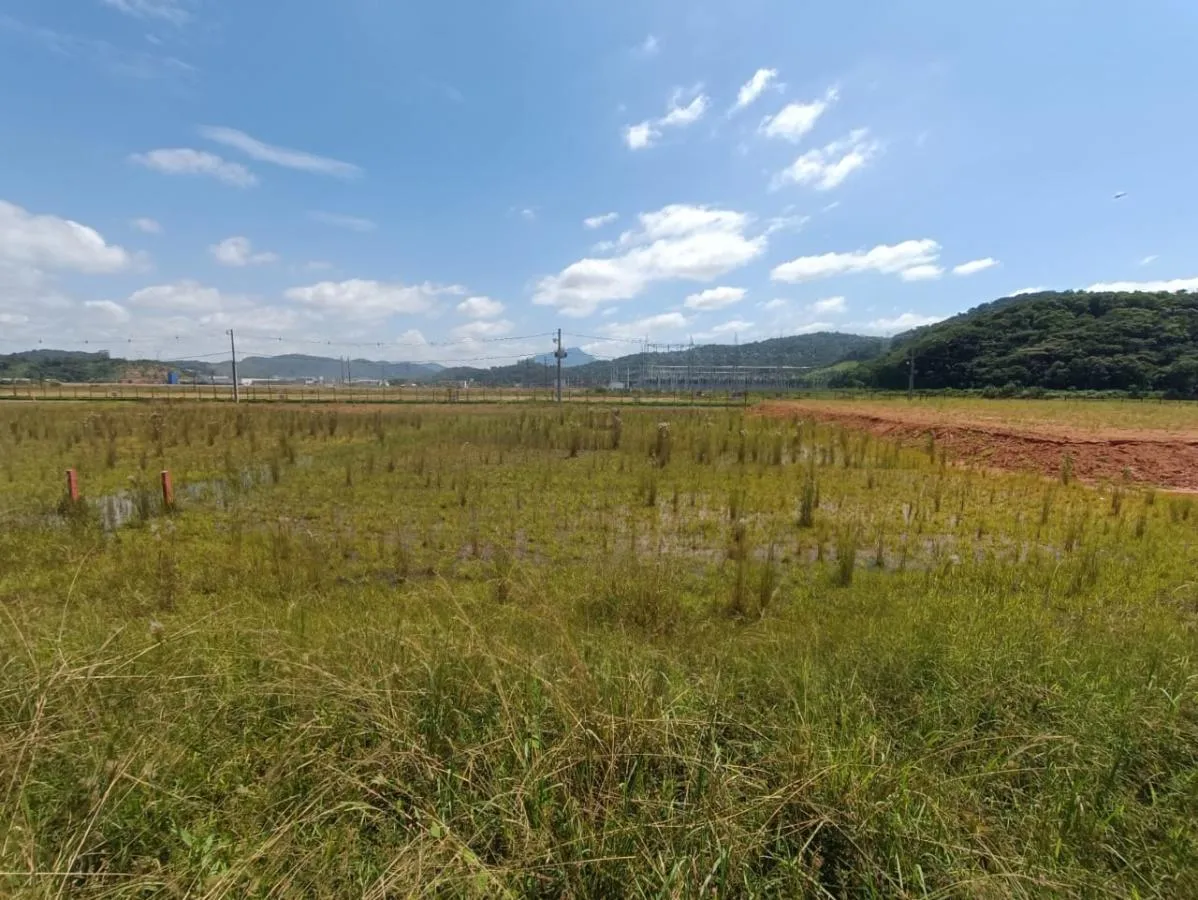 Terreno Industrial para Venda em Gaspar, Belchior Baixo — foto 4