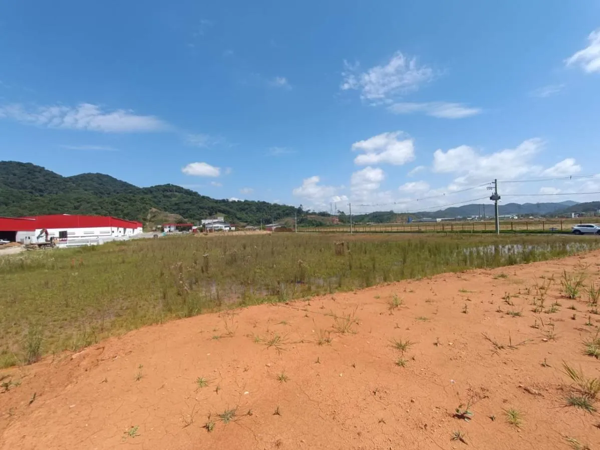 Terreno Industrial para Venda em Gaspar, Belchior Baixo — foto 5