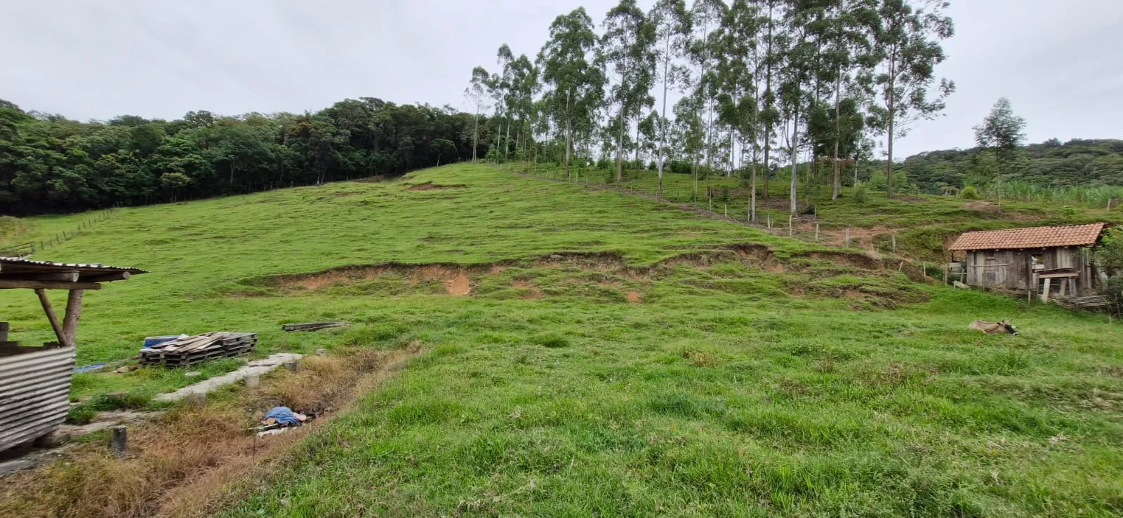 Terreno em frente ao Acesso de Gaspar(Arraial) — foto 2