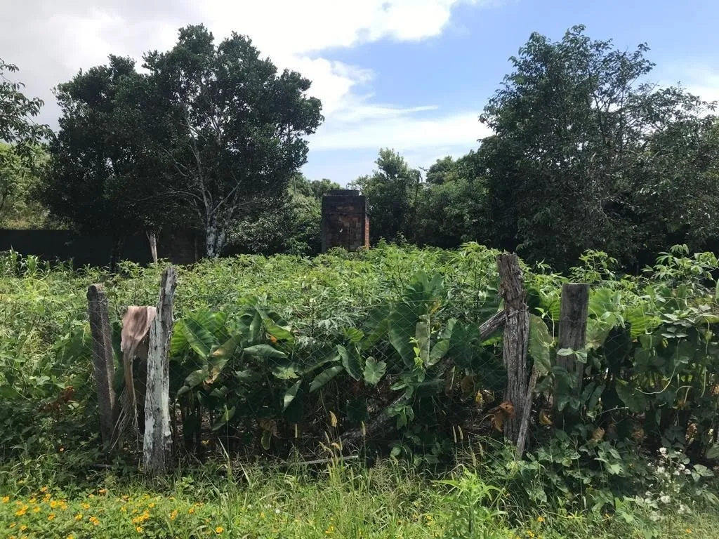 TERRENO no BARRA DO ITAPOCU com 0 quartos para VENDA, 288 m - foto 1