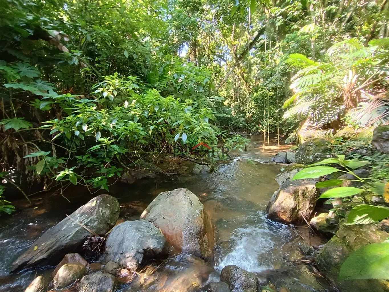 Lindo sítio com 20.000m em Testo Rega com um lindo rio e um pequeno rancho. — foto 4