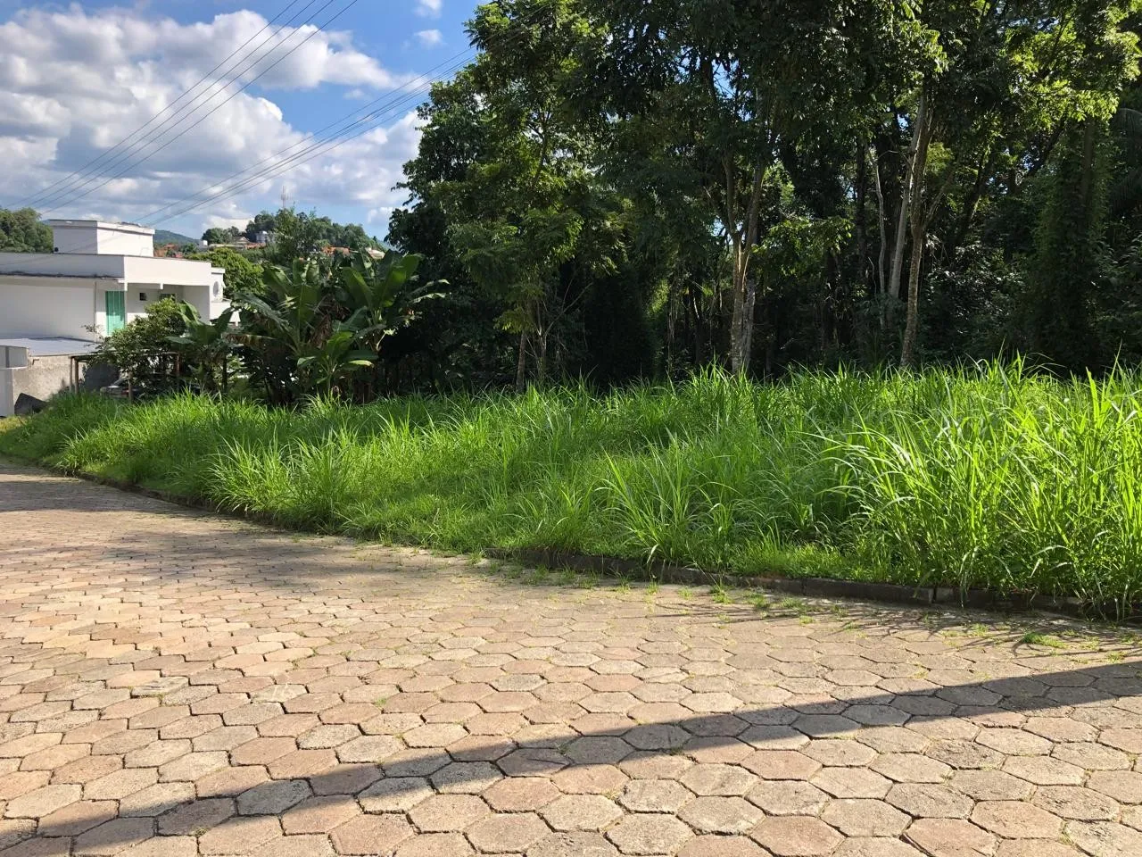 Terreno grande em rua sem saída à venda no bairro Escola Agrícola/ Blumenau- SC - foto 1