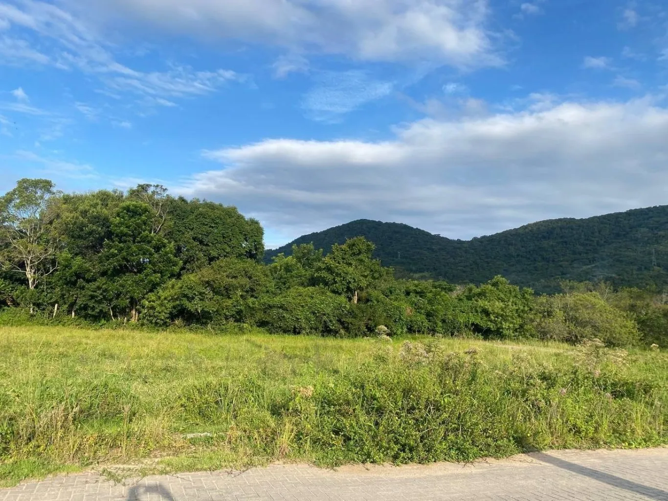 Imóvel — foto 6