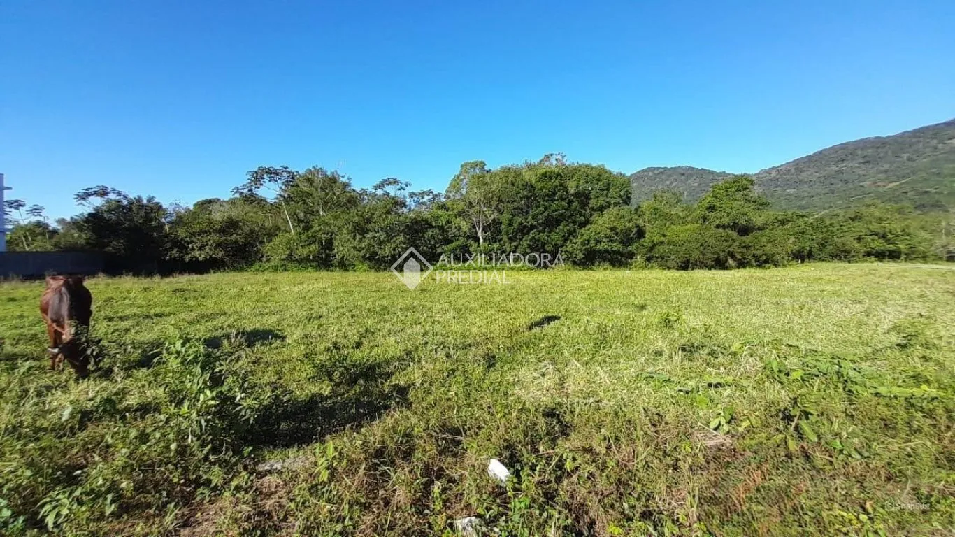 Imóvel — foto 3