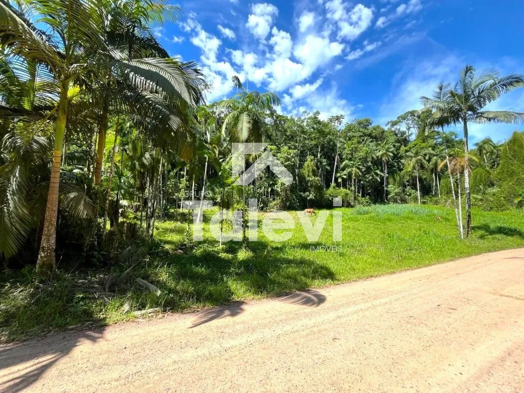 Terreno Ideal Para Mini-Chácara - Testo Central | Pomerode-SC - foto 1