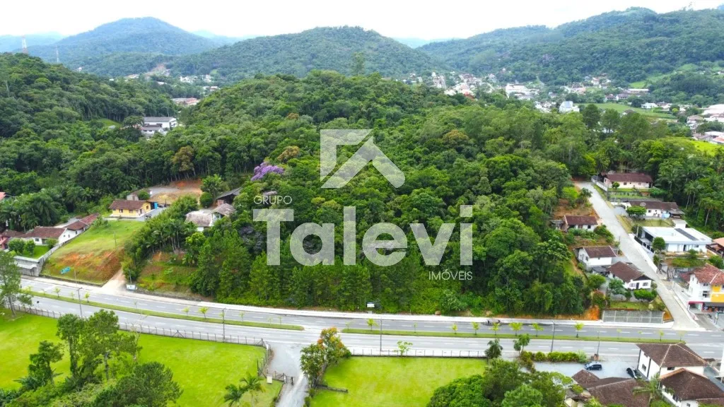 Terreno para Investidores no Centro de Pomerode - Exclusividade Talevi — foto 4