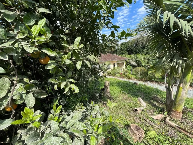 Casa com Potencial Comercial e Residencial no Centro de Pomerode | Ideal para Pousada, Chalés ou Cabanas — foto 4