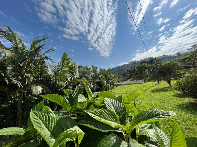 Casa com Potencial Comercial e Residencial no Centro de Pomerode | Ideal para Pousada, Chalés ou Cabanas — foto 5