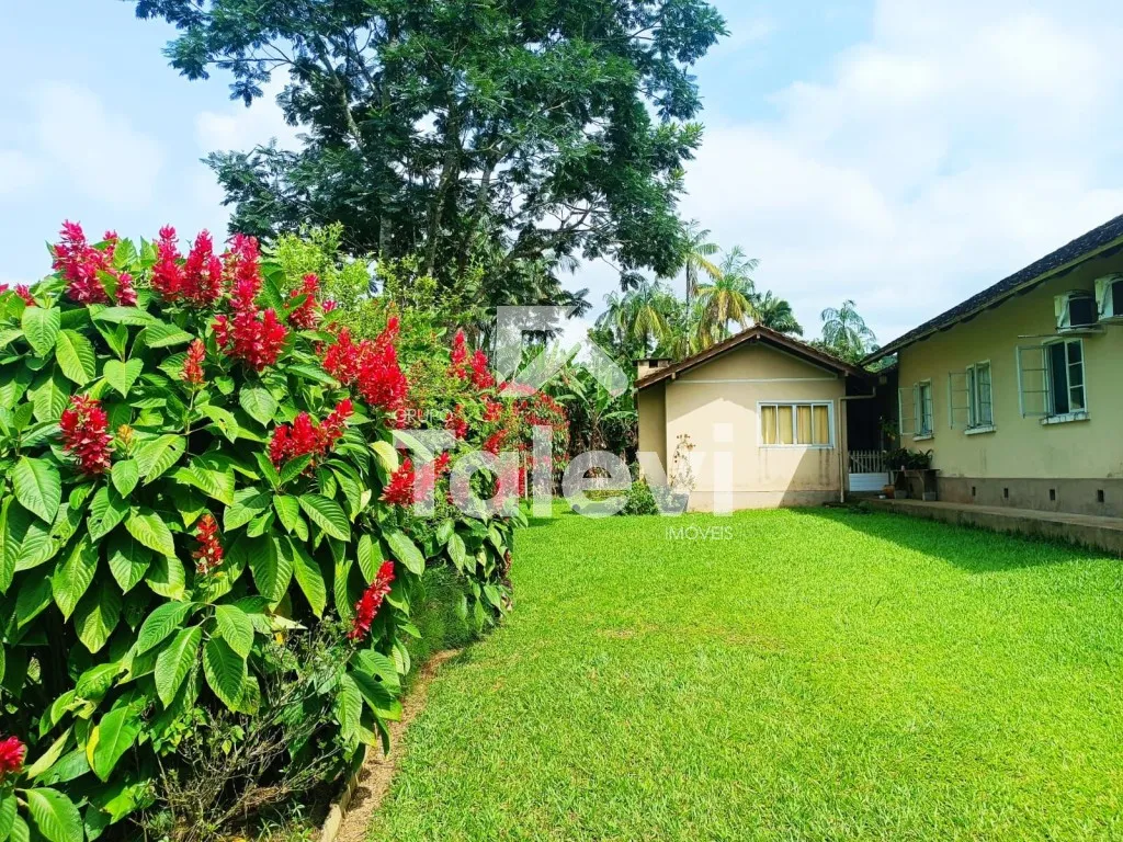 CHÁCARA PRODUTIVA NO VALE DO SELKE GRANDE EM POMERODE/SC — foto 5