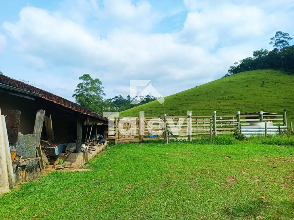 CHÁCARA PRODUTIVA NO VALE DO SELKE GRANDE EM POMERODE/SC — foto 6