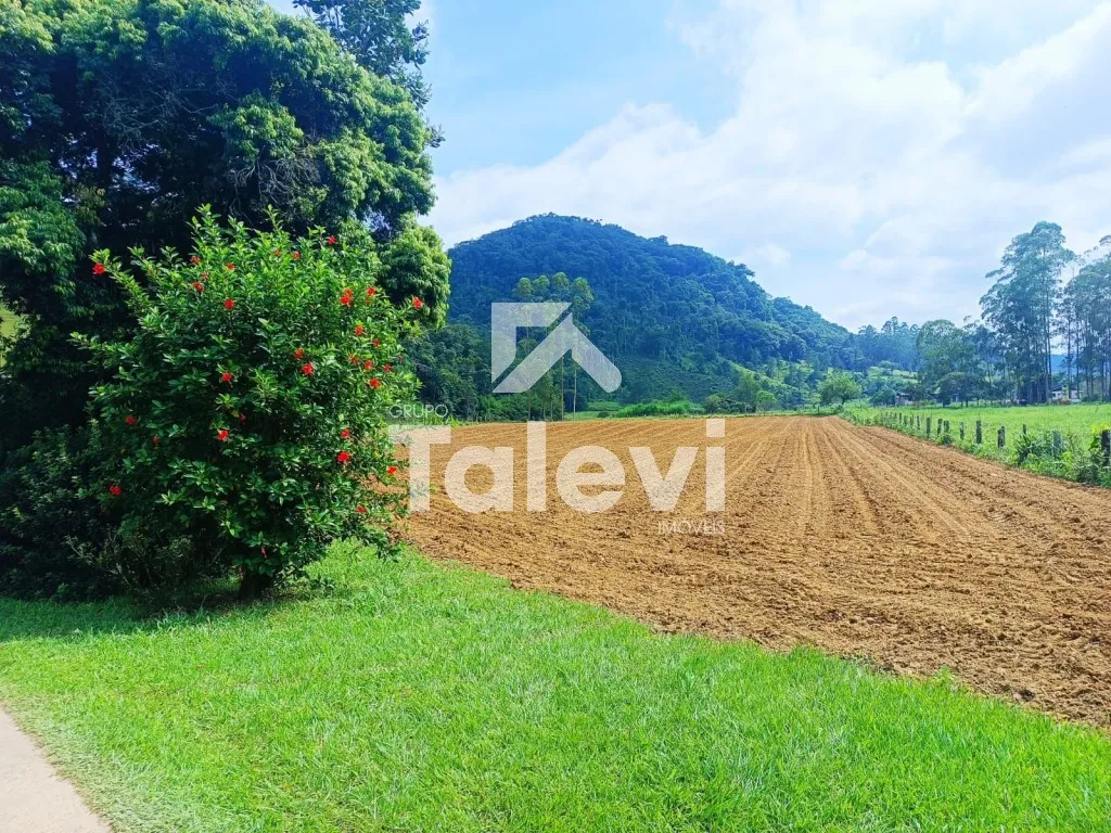 CHÁCARA PRODUTIVA NO VALE DO SELKE GRANDE EM POMERODE/SC — foto 7
