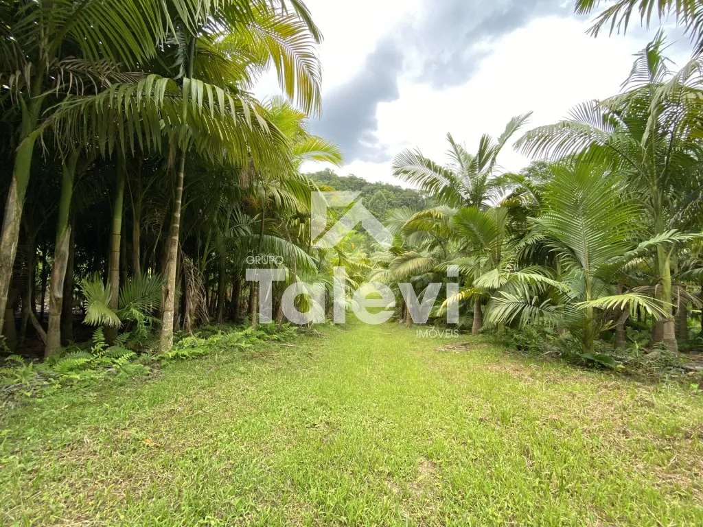 TERRENO COM AGUA CORRENTE E RIACHO EM TESTO REGA - POMERODE/SC — foto 2