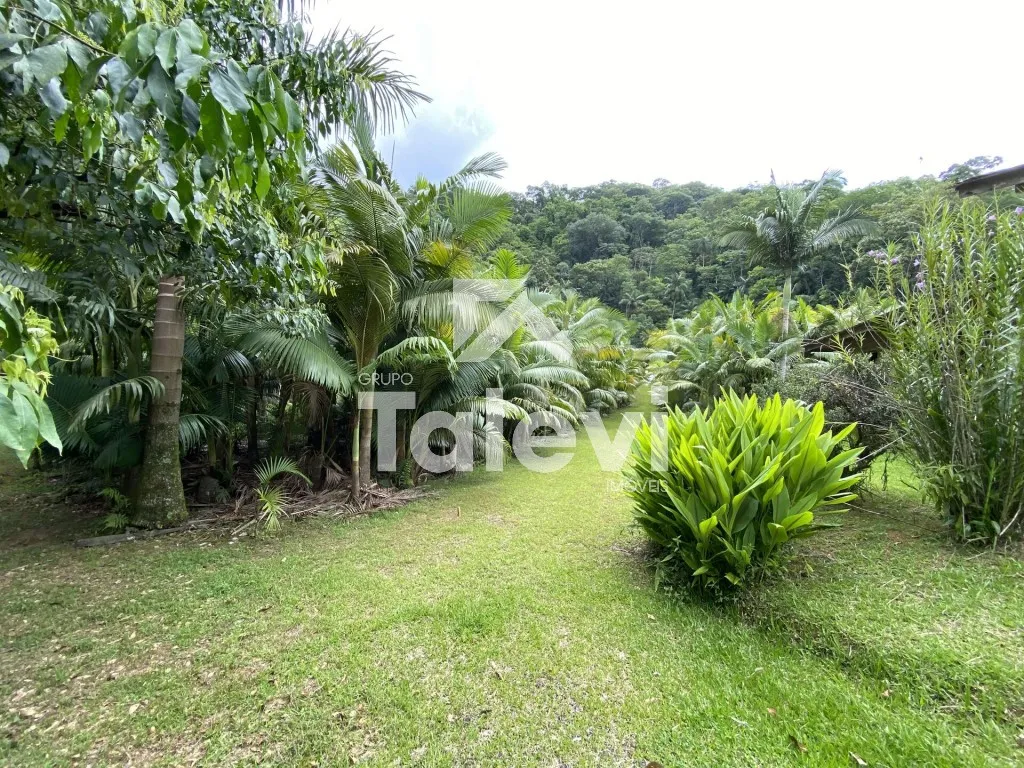 TERRENO COM AGUA CORRENTE E RIACHO EM TESTO REGA - POMERODE/SC — foto 4
