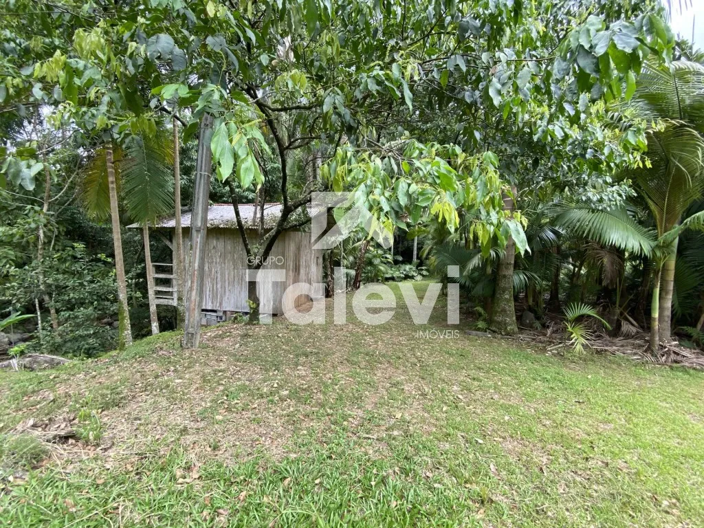 TERRENO COM AGUA CORRENTE E RIACHO EM TESTO REGA - POMERODE/SC — foto 5