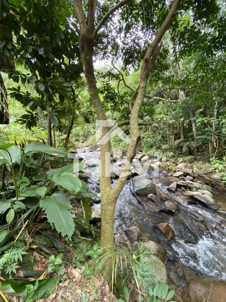 TERRENO COM AGUA CORRENTE E RIACHO EM TESTO REGA - POMERODE/SC — foto 7