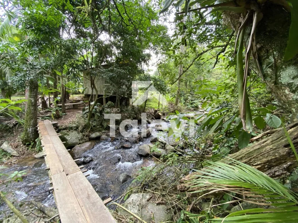 TERRENO COM AGUA CORRENTE E RIACHO EM TESTO REGA - POMERODE/SC - foto 1