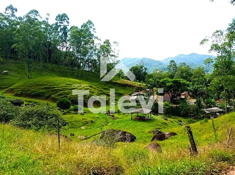Terreno com Linda Vista em Pomerode! - foto 1
