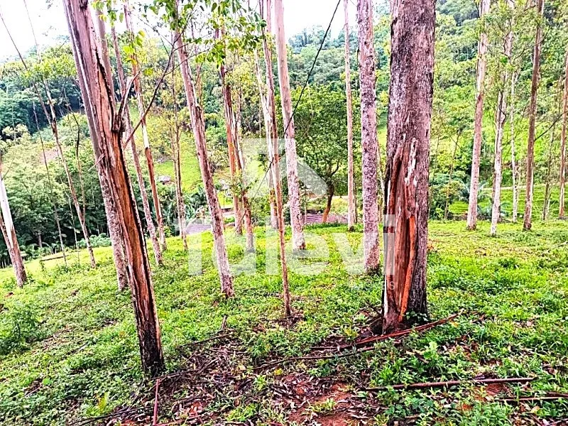 Terreno com Linda Vista em Pomerode! — foto 4