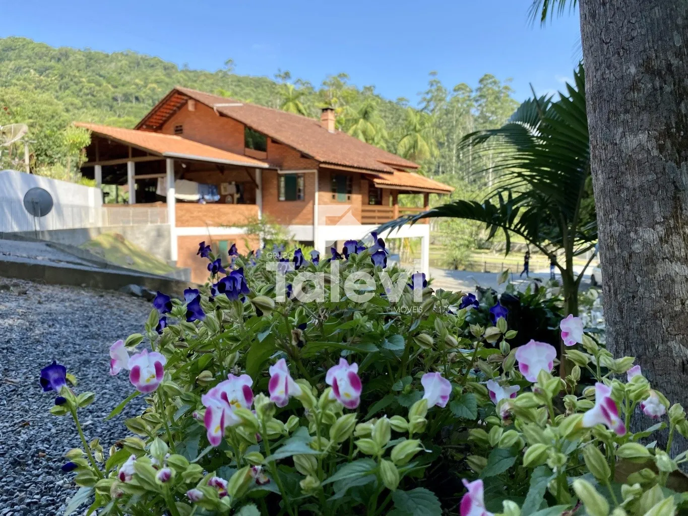 CHÁCARA COMPLETA COM LAGOAS, DUAS CASAS E VOCAÇÃO TURÍSTICA | POMERODE — foto 3