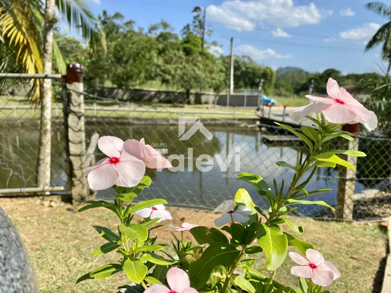 CHÁCARA COMPLETA COM LAGOAS, DUAS CASAS E VOCAÇÃO TURÍSTICA | POMERODE — foto 5