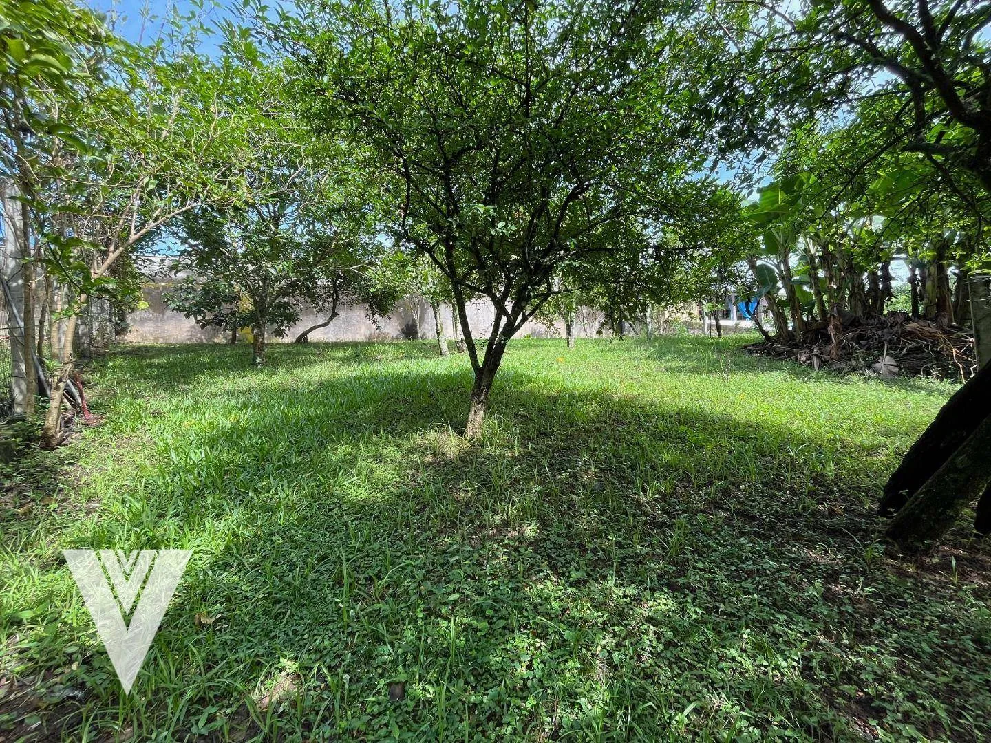 Terreno à venda, 7208 m por R$ 3.600.000,00 - Salto - Blumenau/SC — foto 5