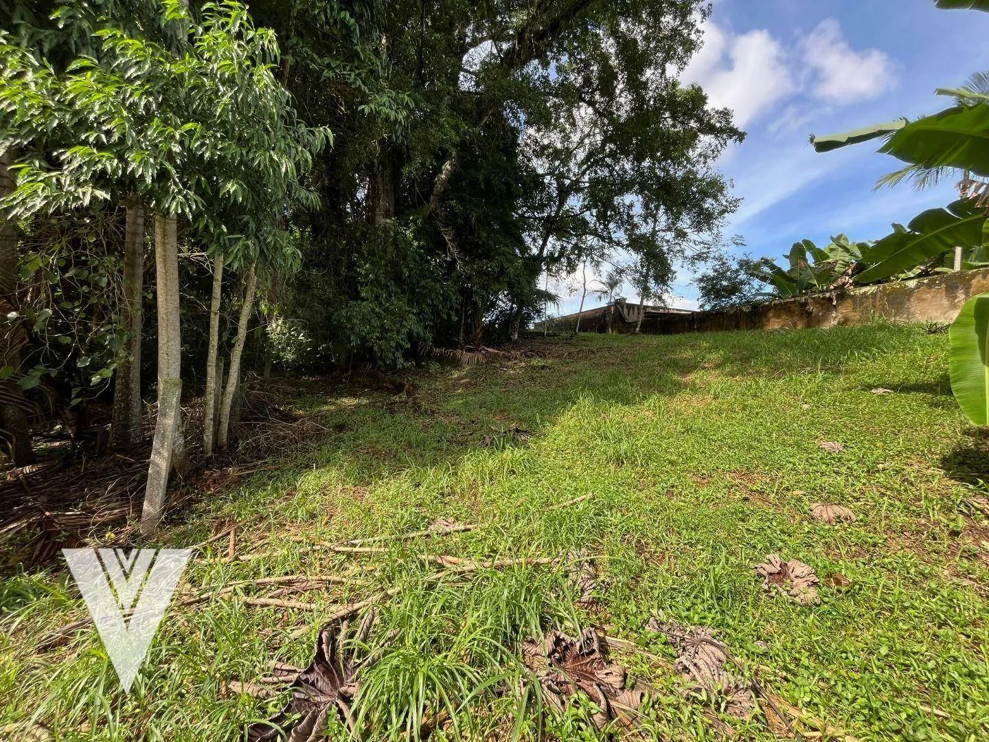 Terreno à venda, 7208 m por R$ 3.600.000,00 - Salto - Blumenau/SC — foto 6