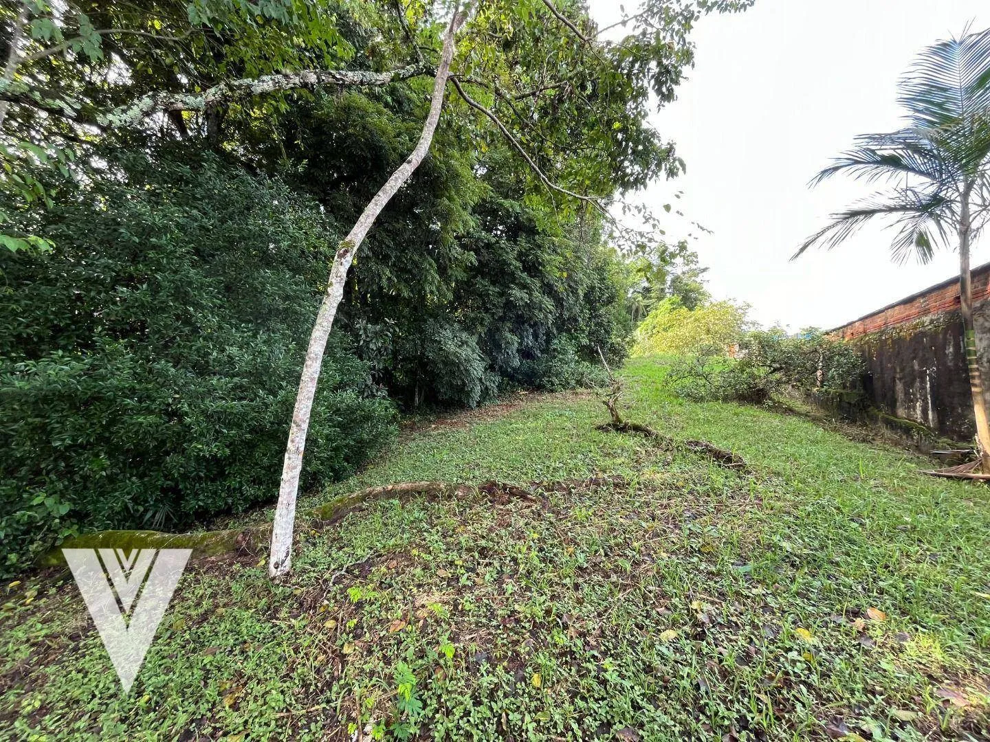 Terreno à venda, 7208 m por R$ 3.600.000,00 - Salto - Blumenau/SC — foto 7