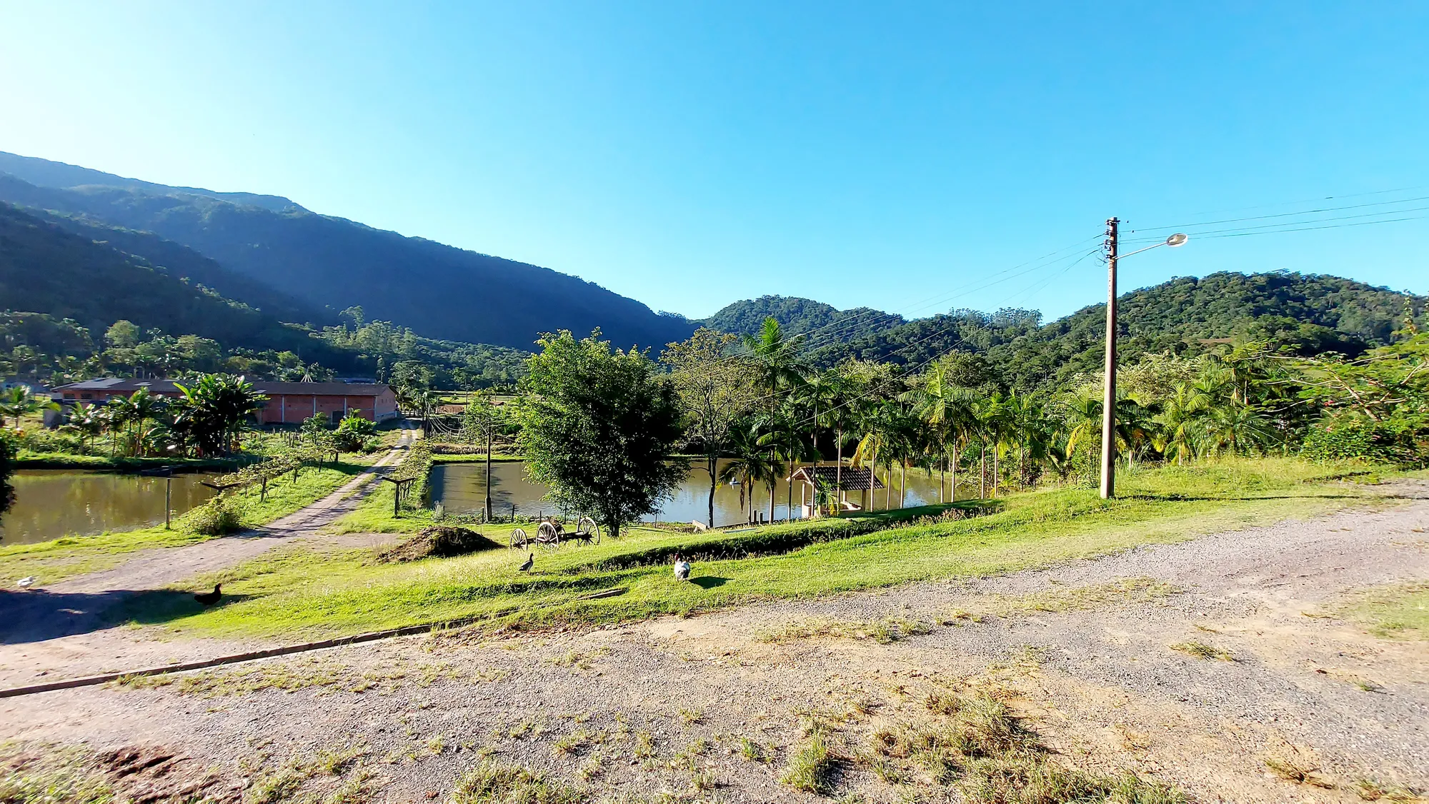 Sítio em Rodeio - Próximo Centro - Rua asfaltada até o portão de entrada. (Venda Com Exclusividade) — foto 4