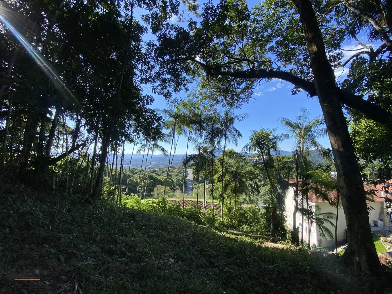 Se você procura ter uma casa única! Precisa explorar esse terreno! E ja tem projeto aprovado viu!!! — foto 4