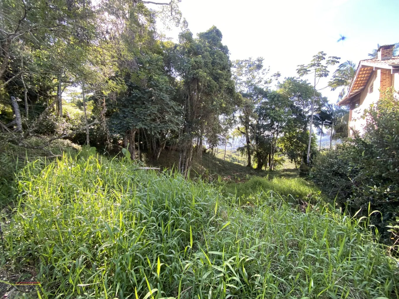 Se você procura ter uma casa única! Precisa explorar esse terreno! E ja tem projeto aprovado viu!!! — foto 6