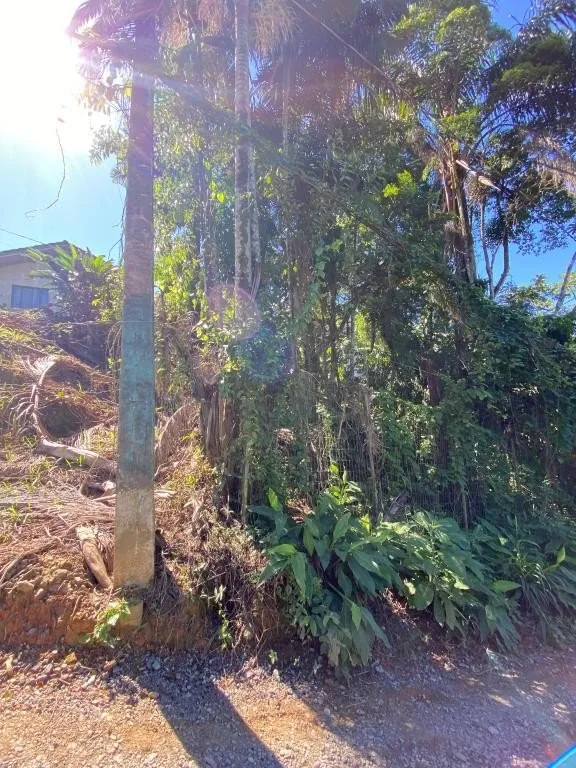 TERRENO PARA PRÉDIOS no ITAUM com 0 quartos para VENDA, 660 m — foto 2