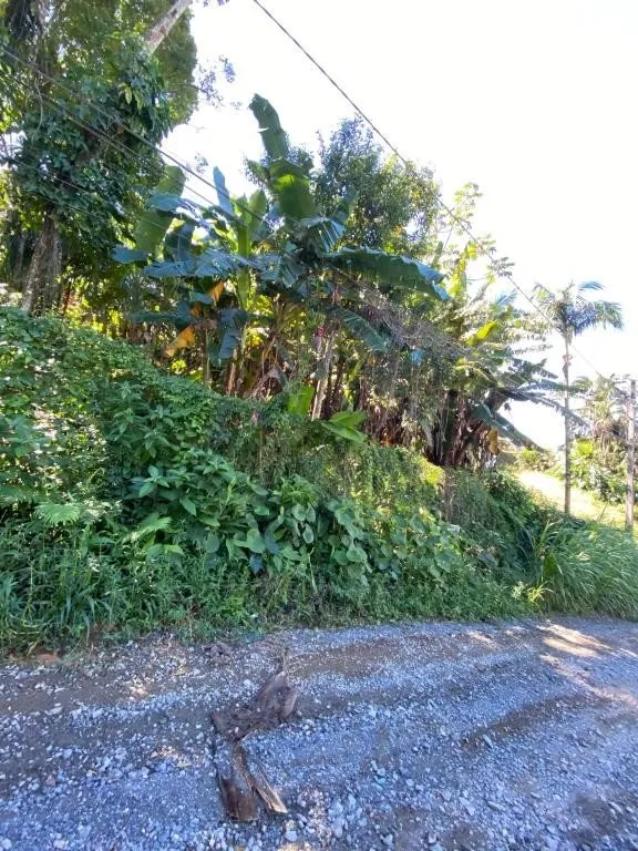 TERRENO PARA PRÉDIOS no ITAUM com 0 quartos para VENDA, 660 m — foto 3