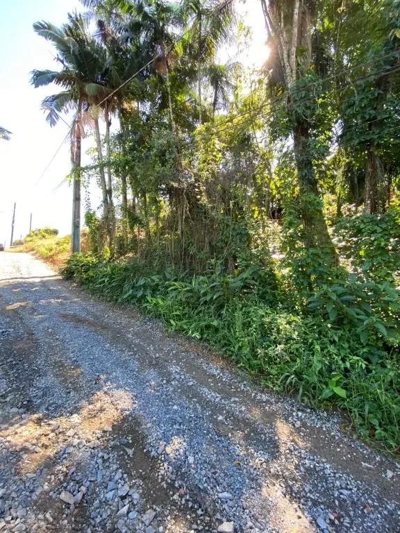TERRENO PARA PRÉDIOS no ITAUM com 0 quartos para VENDA, 660 m — foto 5