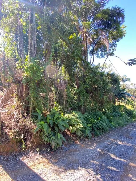TERRENO PARA PRÉDIOS no ITAUM com 0 quartos para VENDA, 660 m — foto 6