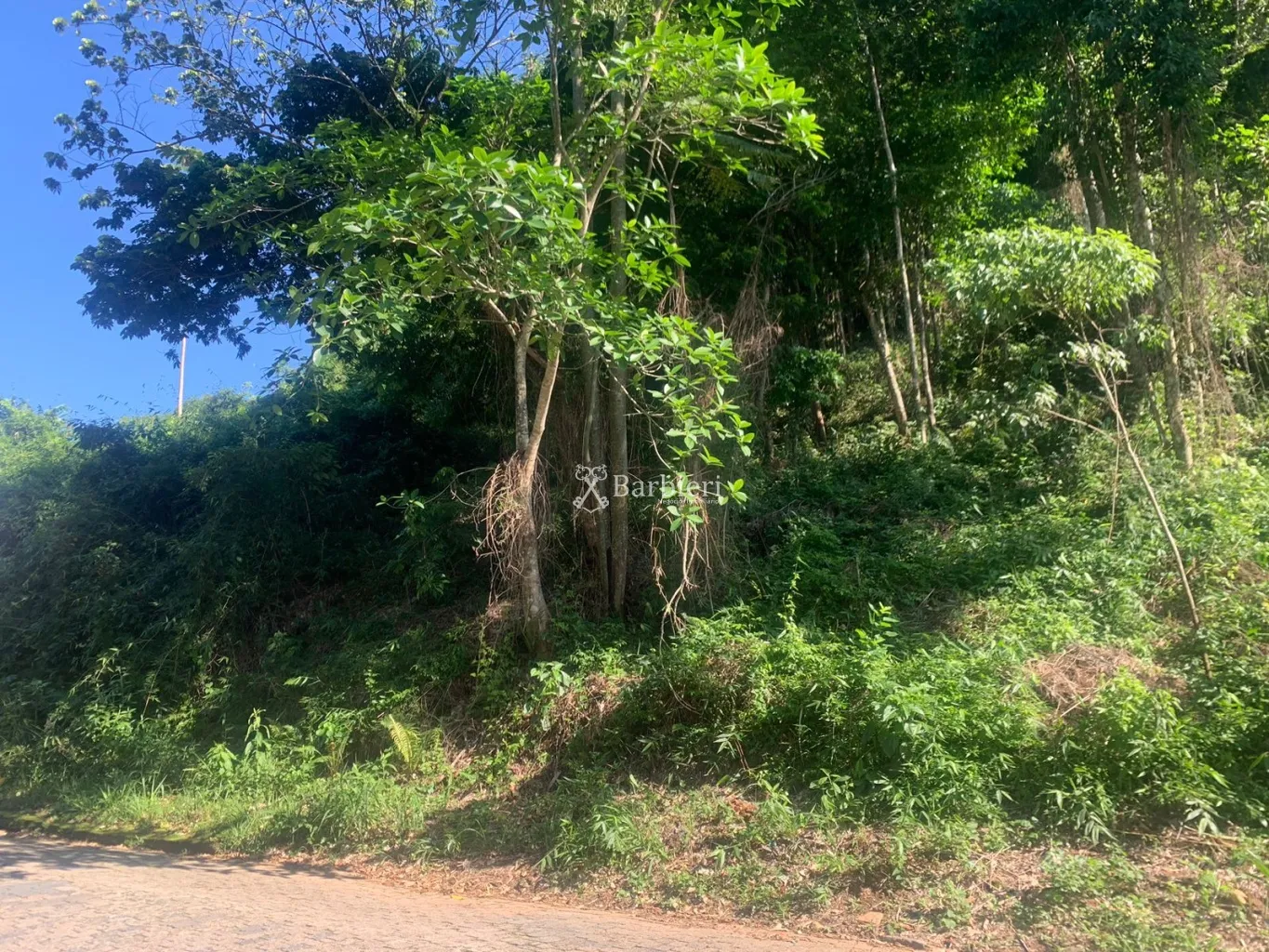 Terreno com 375 m no bairro Itoupava Seca em Blumenau/SC — foto 5