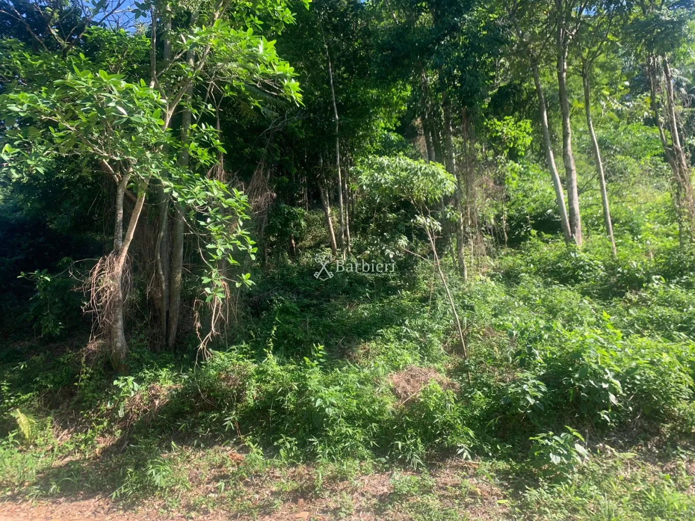 Terreno com 375 m no bairro Itoupava Seca em Blumenau/SC — foto 6