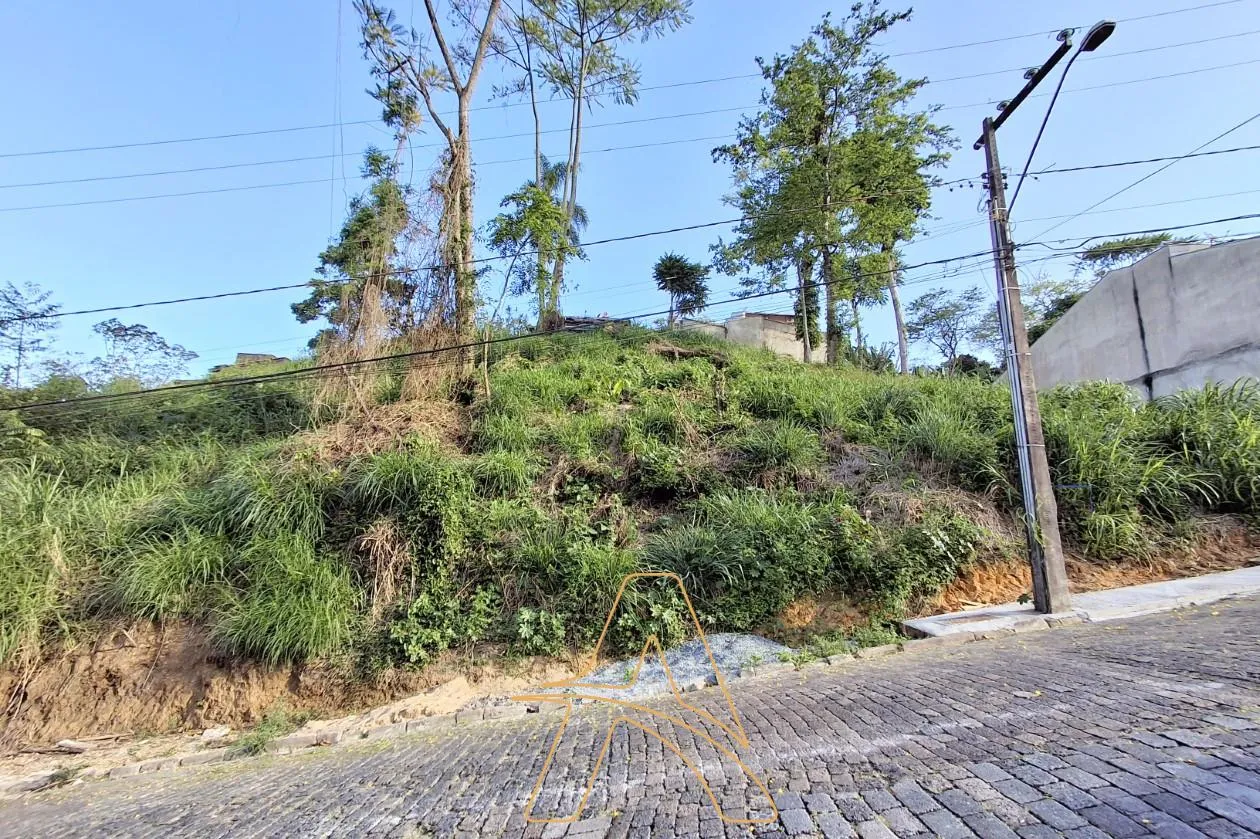 Terreno no Bairro Escola Agrícola - foto 1
