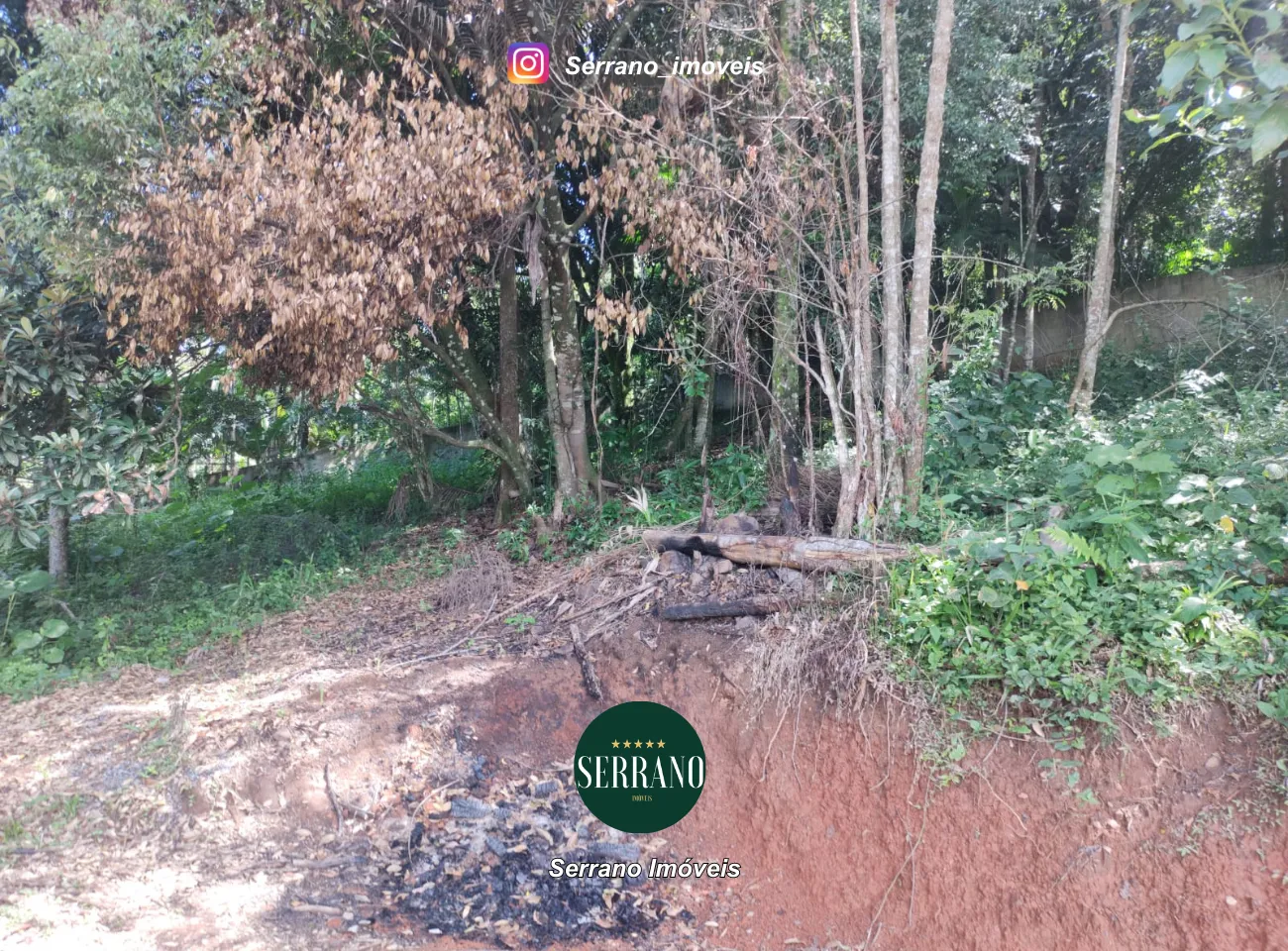 Amplo Terreno na Escola Agrícola — foto 4