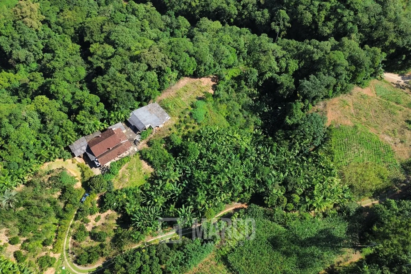 Terreno em Testo Alto com 80.000 m com Excelente Aproveitamento em 8 Hectares Pomar Estabelecido, Rancho e Pequena Construção - foto 1