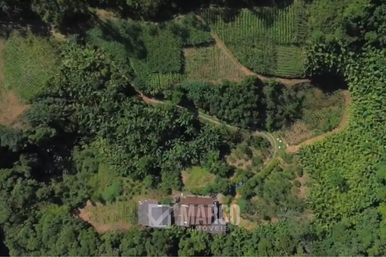 Terreno em Testo Alto com 80.000 m com Excelente Aproveitamento em 8 Hectares Pomar Estabelecido, Rancho e Pequena Construção — foto 3