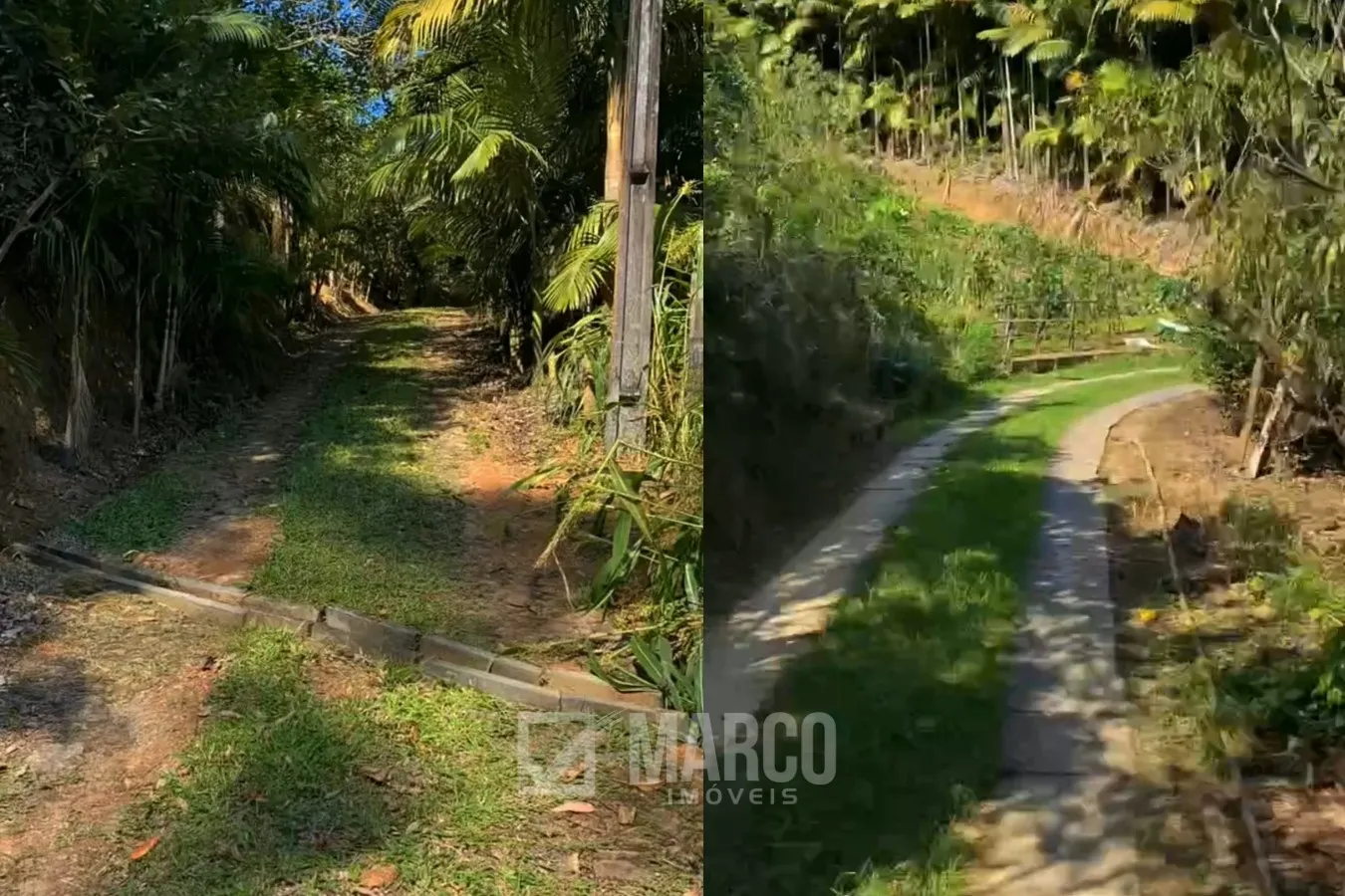 Terreno em Testo Alto com 80.000 m com Excelente Aproveitamento em 8 Hectares Pomar Estabelecido, Rancho e Pequena Construção — foto 5