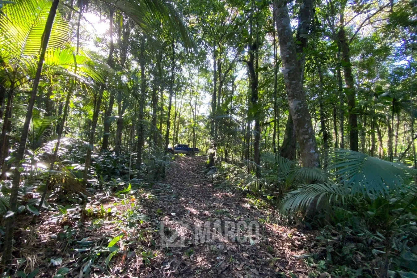 Terreno em Testo Alto com 80.000 m com Excelente Aproveitamento em 8 Hectares Pomar Estabelecido, Rancho e Pequena Construção — foto 7