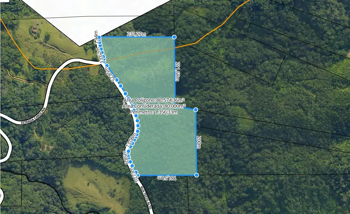 Terreno em Testo Alto com 80.000 m com Excelente Aproveitamento em 8 Hectares Pomar Estabelecido, Rancho e Pequena Construção — foto 2