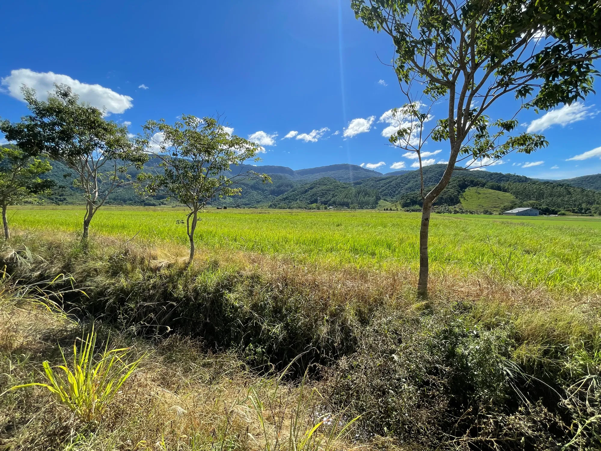 Área urbana em Ascurra, terreno plano com diversas opções de uso. — foto 3