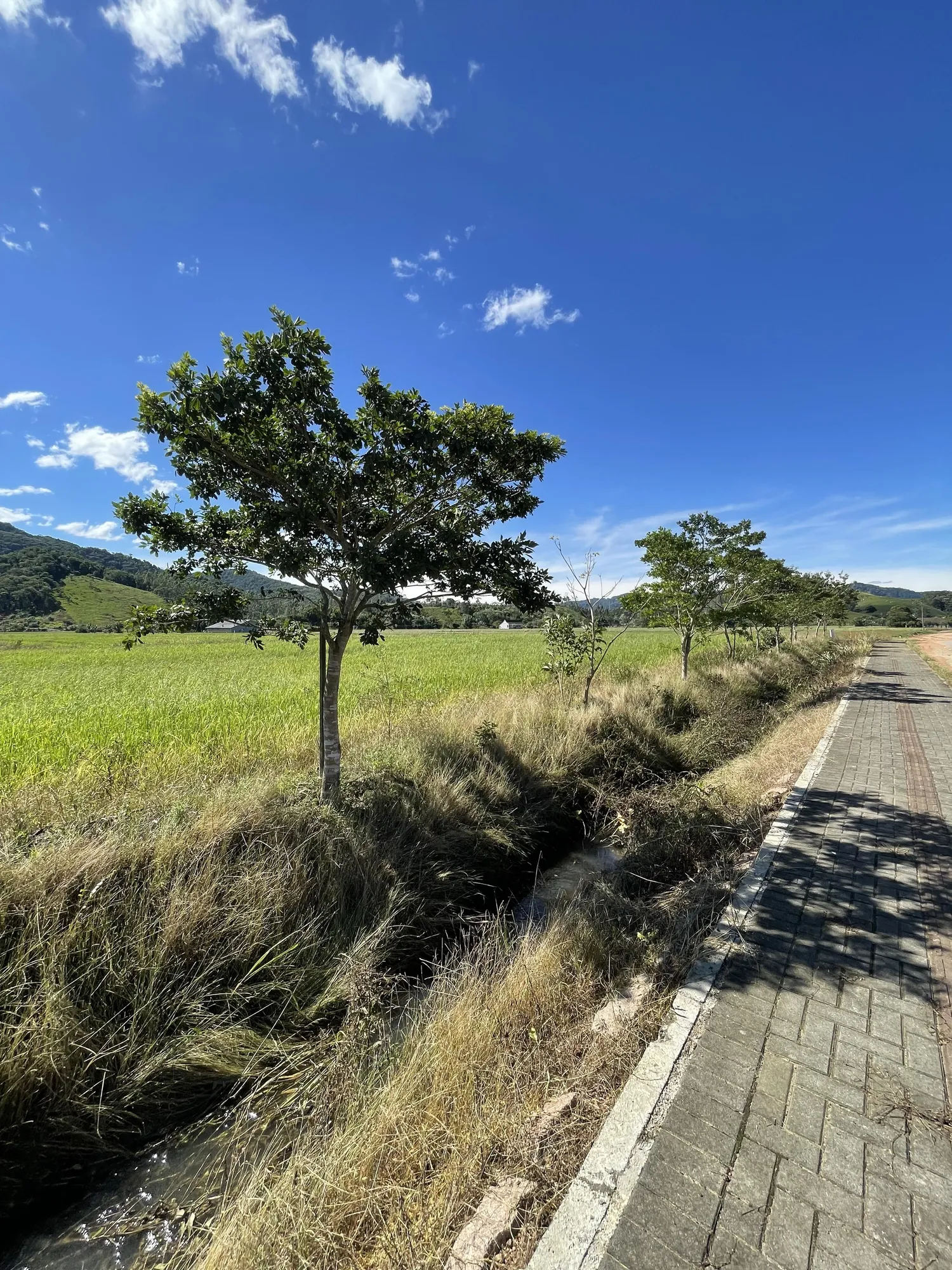 Área urbana em Ascurra, terreno plano com diversas opções de uso. — foto 4