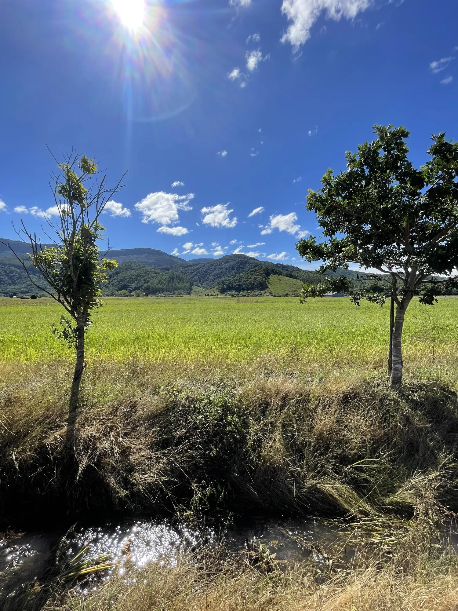Área urbana em Ascurra, terreno plano com diversas opções de uso. — foto 5