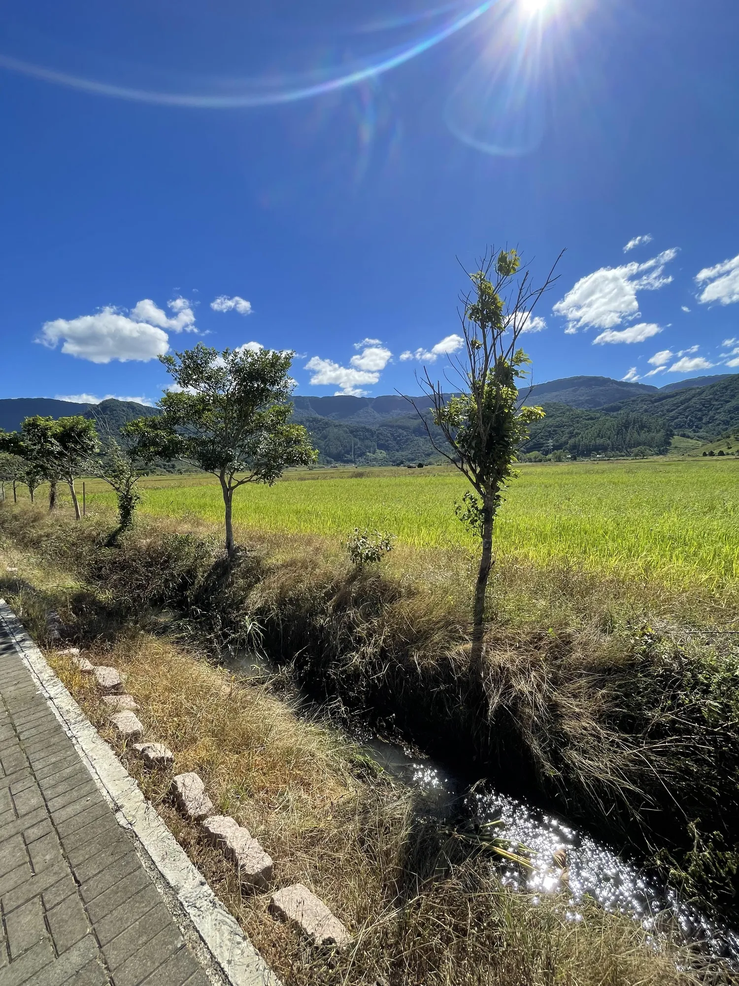 Área urbana em Ascurra, terreno plano com diversas opções de uso. — foto 6