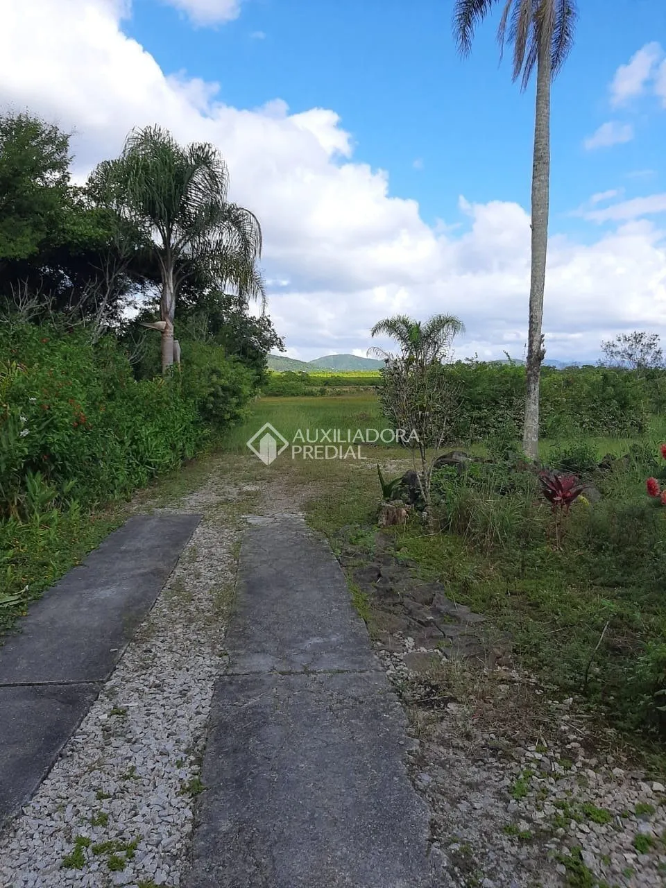 Imóvel Rural à venda, 12800m² na Manoel Leôncio de Souza Brito no Vargem Pequena, Florianópolis — foto 4